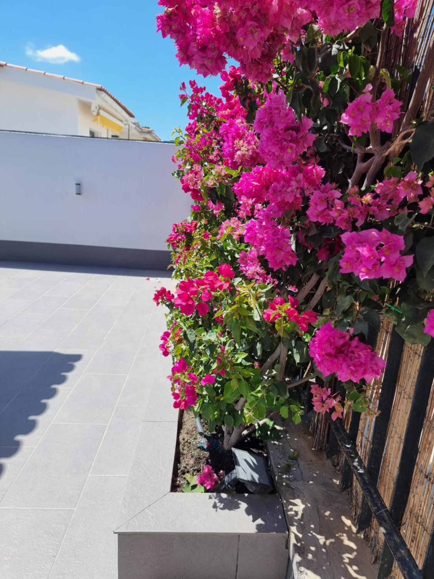 Espacioso 2 En Maspalomas Apartamento